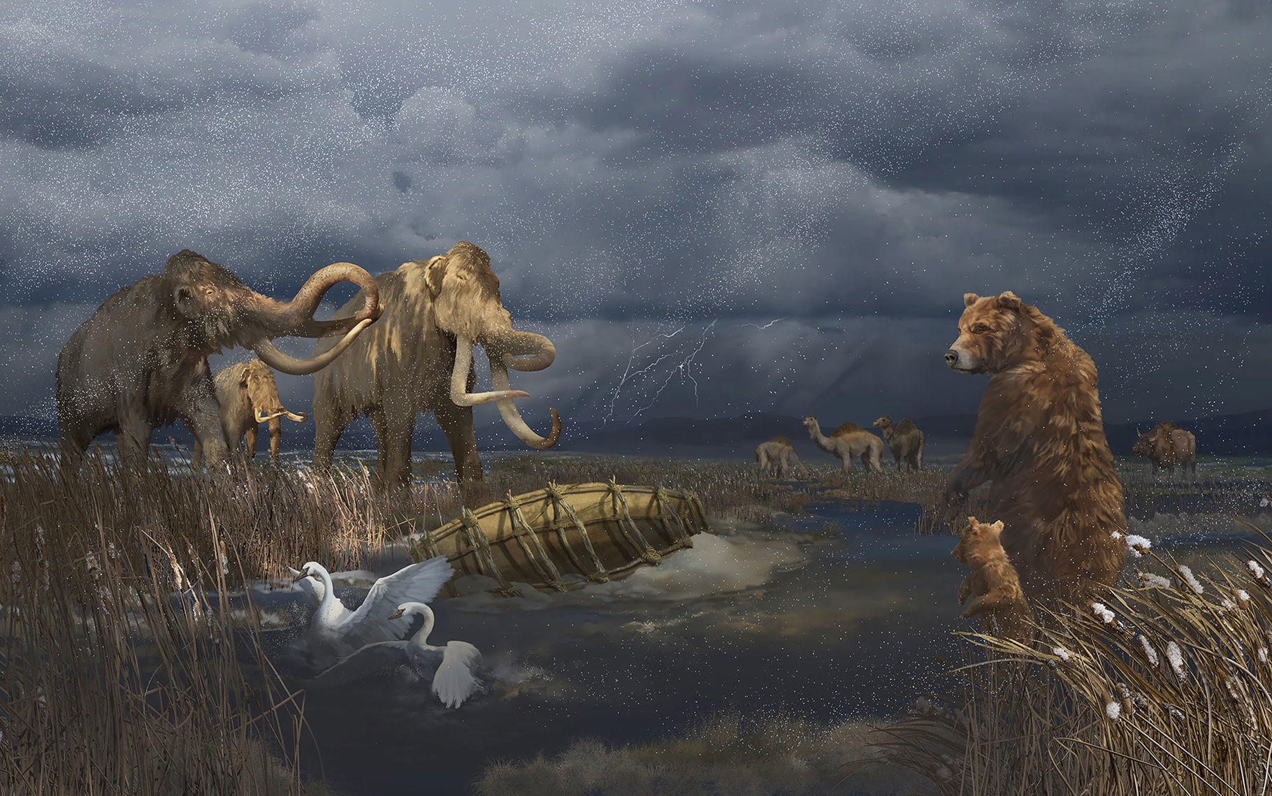 Beringia Mural